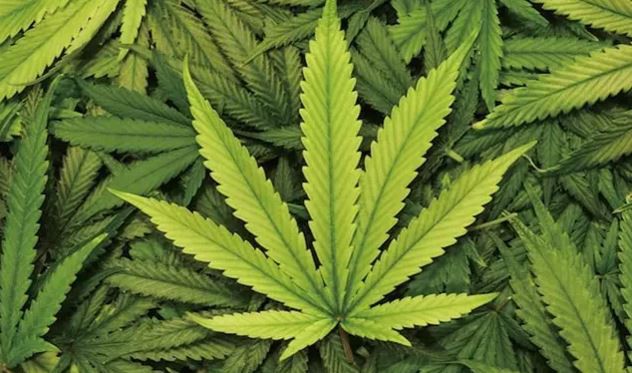 Supercritical Co2 Extraction Machine For Canna